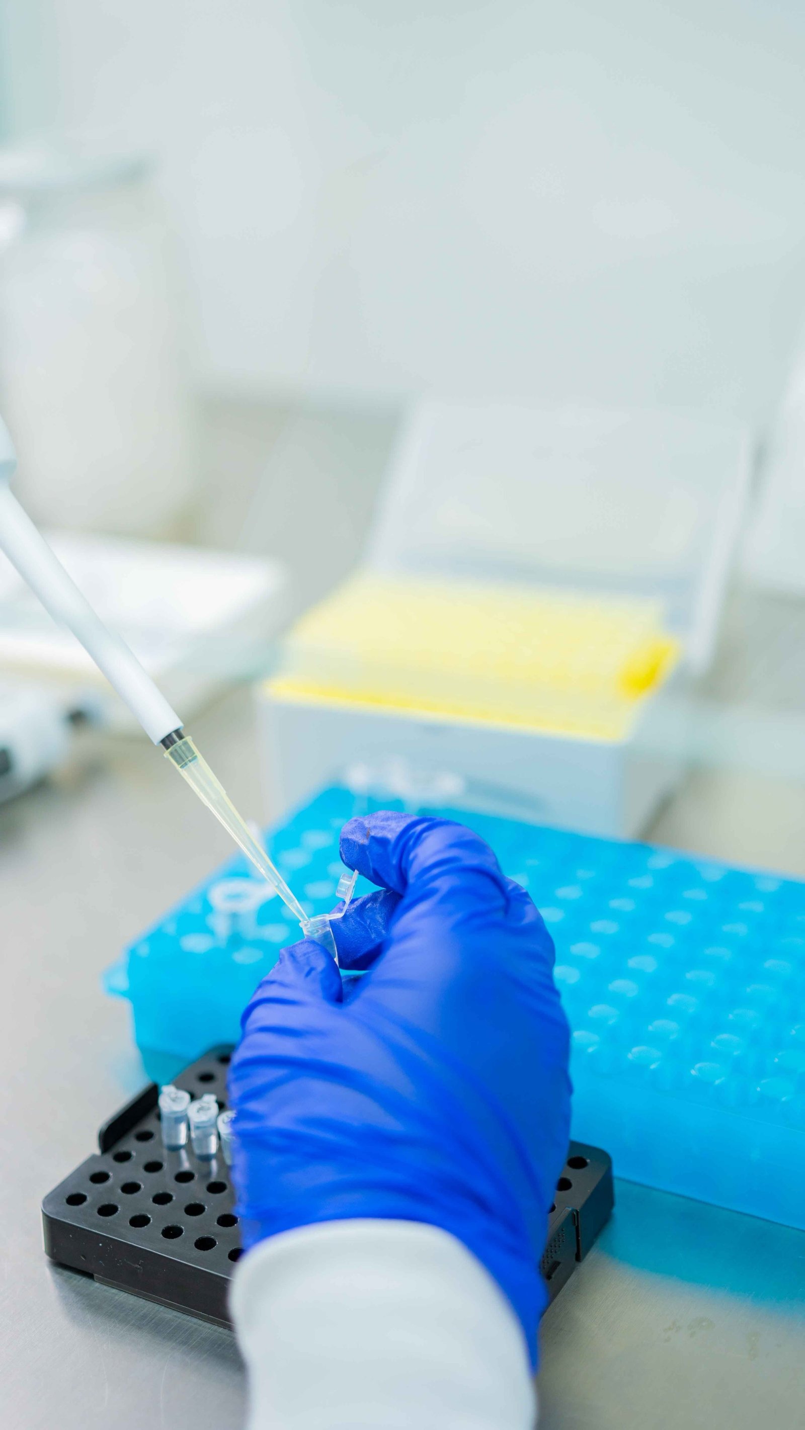 Pipetagem no laboratório ABLIB